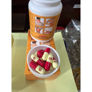 GAI CỐT HOÀN Hongkong Chính hãng