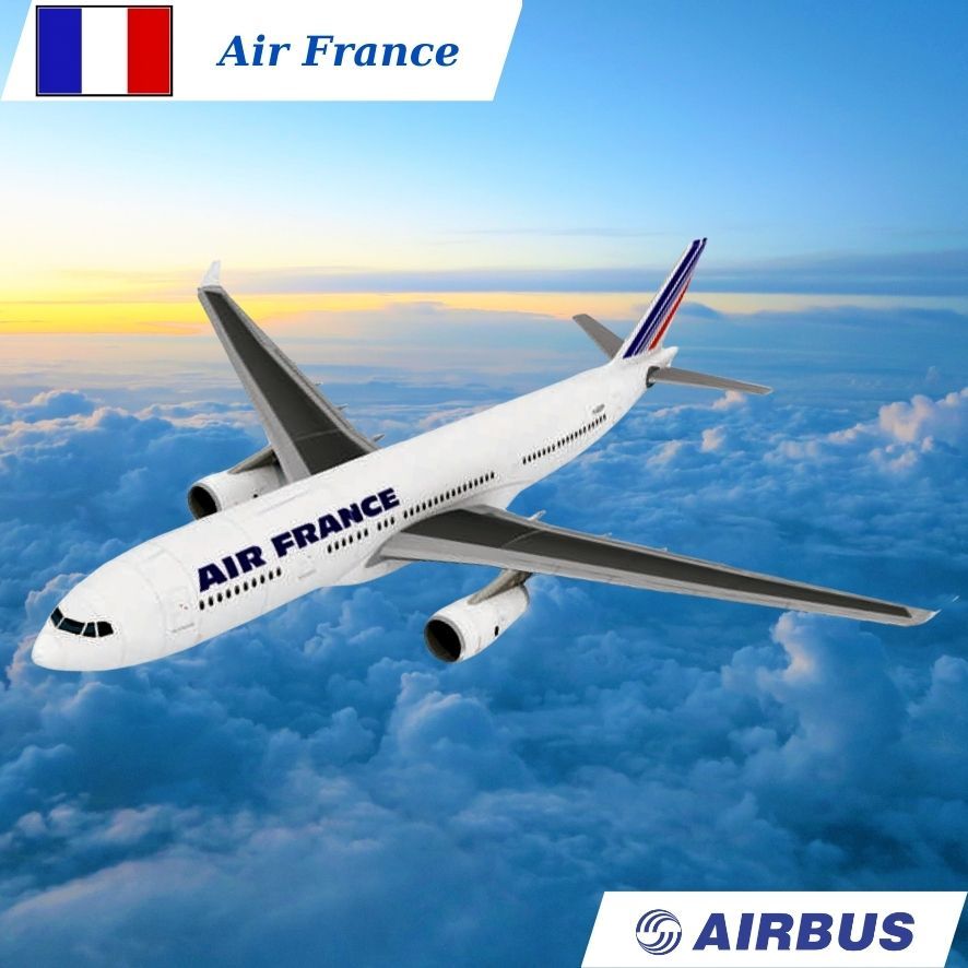 Mô Hình Giấy Máy Bay Thương Mại AIRBUS A330 Air France