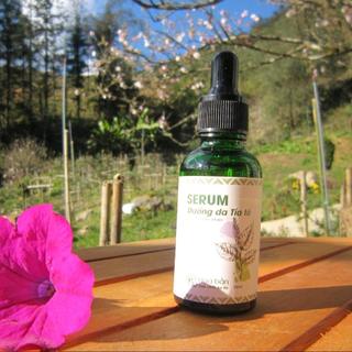 Serum Tía Tô Hoa Bản Mềm Mịn Mờ Nám Sáng Da