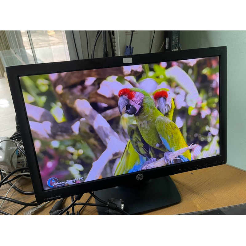 Màn hình máy tính HP 19Inch