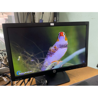 Màn hình máy tính HP 19Inch