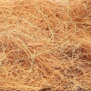 Chỉ xơ dừa, sơ dừa sợi, xơ dừa chỉ giữ ẩm, trồng lan, phủ gốc thay rơm...