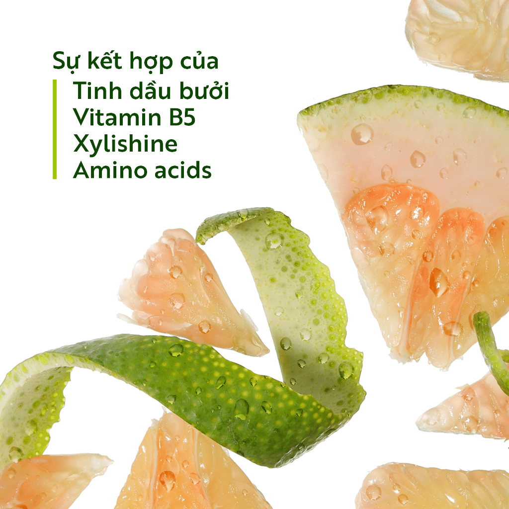 Túi Refill - Dầu gội bưởi Cocoon giúp giảm gãy rụng và làm mềm tóc 500ml