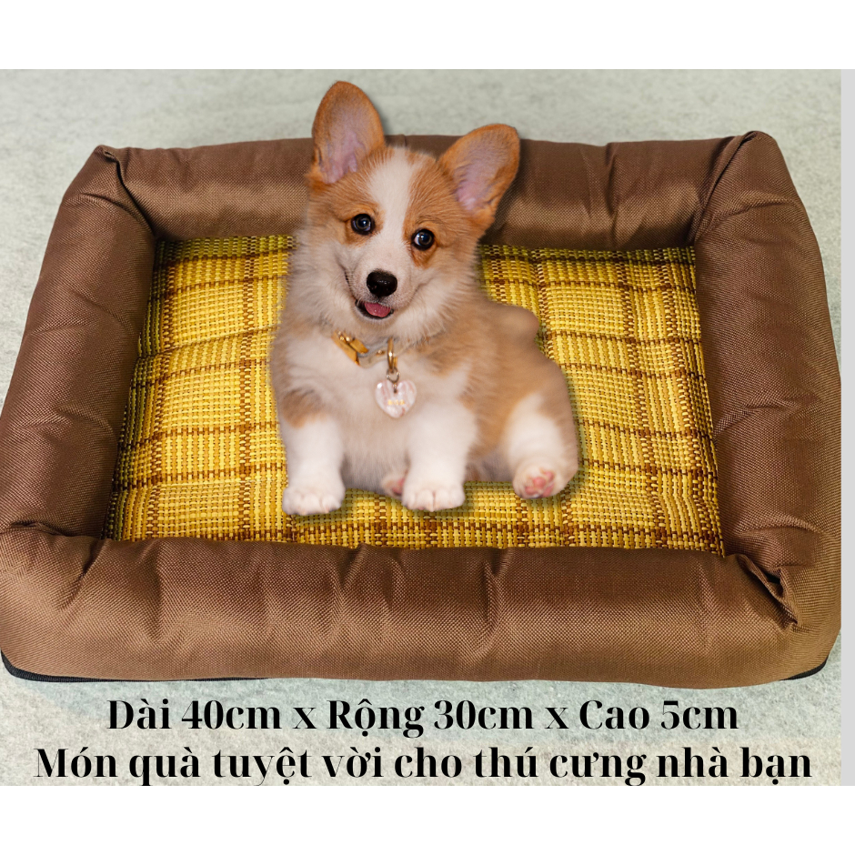 Nệm nằm cho thú cưng