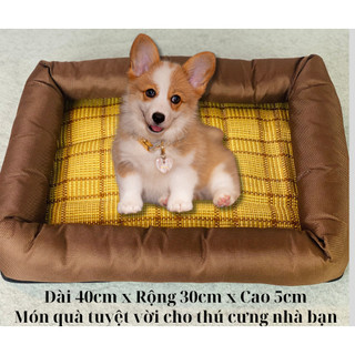 Nệm nằm cho thú cưng