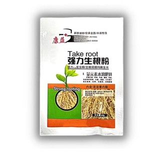 Kích rễ, giâm chiết cành take root - nội địa trung quốc.