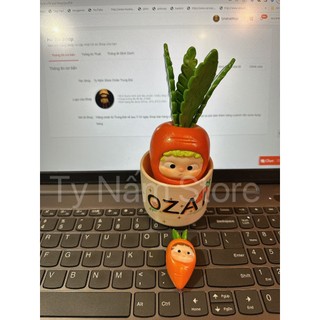 [CUSTOM] OZAI CHẬU CÀ RỐT