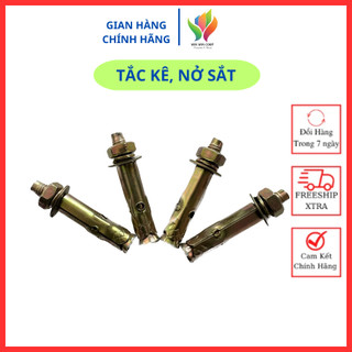 Combo 5con, 10con tắc kê sắt 6 ly