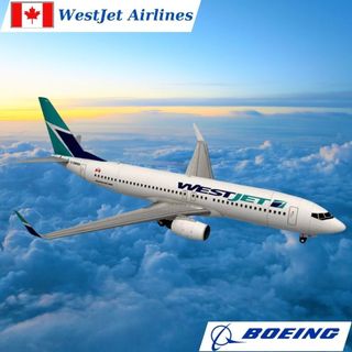Mô hình giấy máy bay thương mại boeing 737 westjet