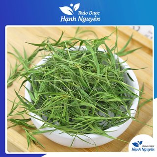 Lá trúc diệp sấy lạnh 1kg, trà lá tre xanh, thơm, sạch - Thảo Dược Hạnh Nguyên