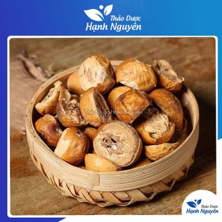Xuyên luyện tử 100g, quả khô, thơm, sạch - Thảo Dược Hạnh Nguyên