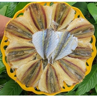 1kg Cá Chỉ loại to ngon, dày mình