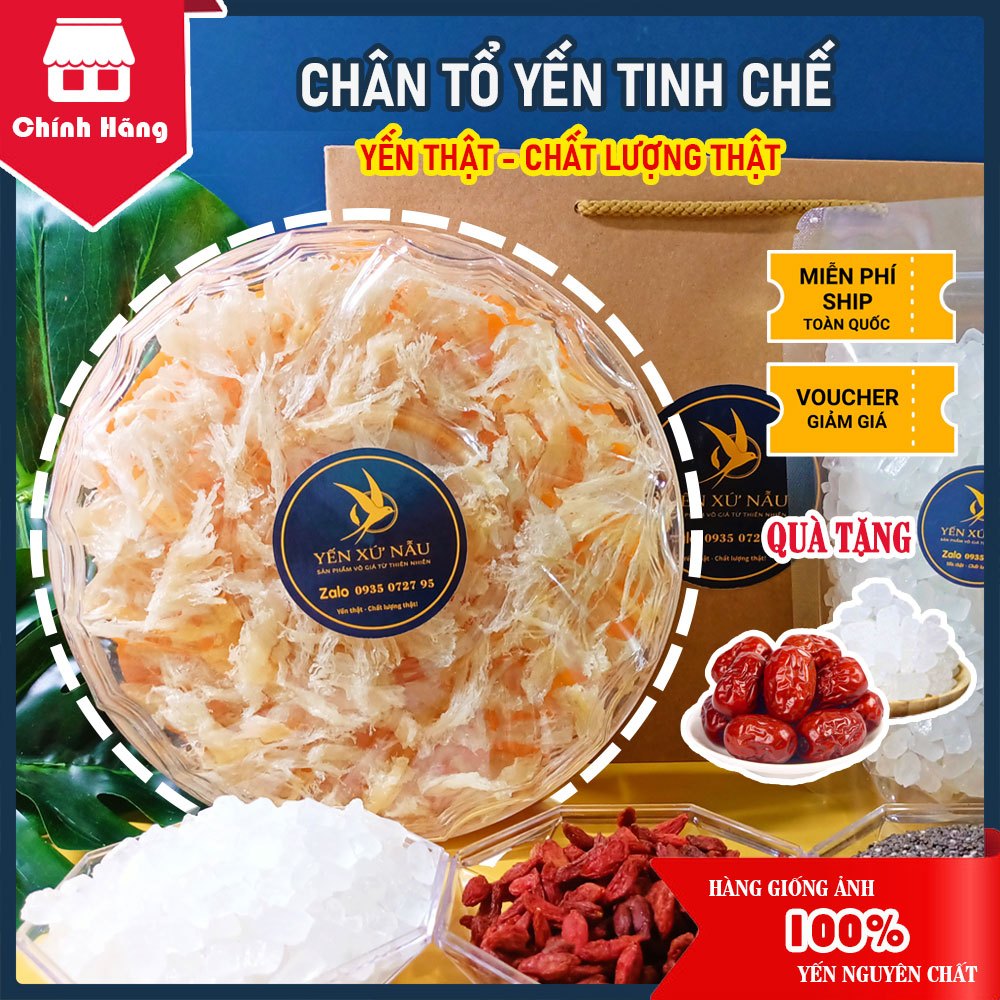 100Gr Chân Tổ Yến Rút Lông Nguyên Chất - Quà Tặng Táo Đỏ + Đường Phèn - Yến Xứ Nẫu - Yến Bình Định