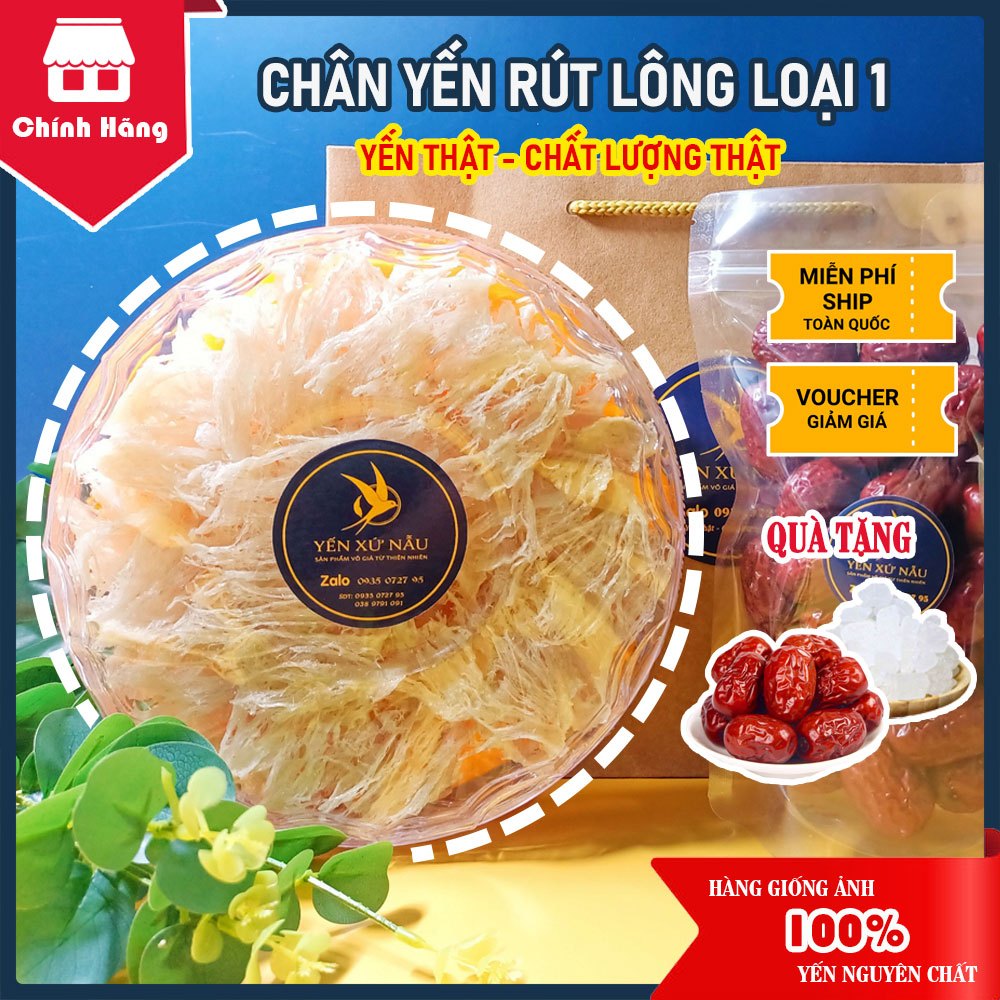 100Gr Chân Rìa Tổ Yến Rút Lông Loại 1 Nguyên Chất - Quà Tặng Táo Đỏ + Đường Phèn - Yến Xứ Nẫu