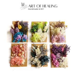 [AOH - Art of Healing] Set hoa khô các loại (lớn) - trang trí nến, resin, sổ tay, decor - Handmade & DIY