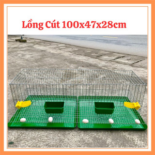 Lồng nuôi chim cút sinh sản - Lồng cút sinh sản đầy đủ phụ kiện