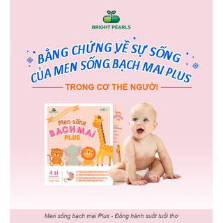 Men sống bạch mai plus l