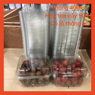 Sỉ Hộp đựng trái cây size 500 gr