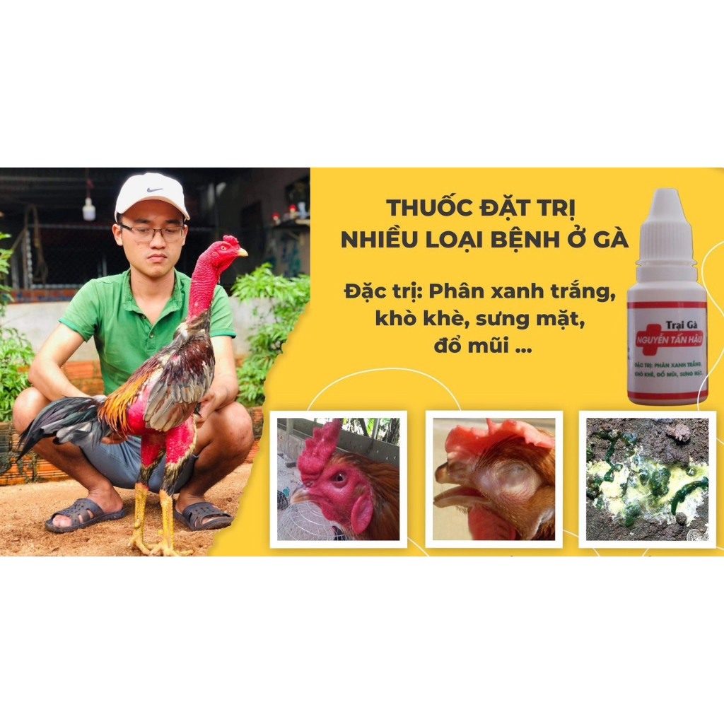 Lọ thuốc gà 4 trong 1 trại gà Nguyễn Tấn Hậu  , đặc trị phân xanh phân trắng , khò khè , bọt mắt ở gia cầm