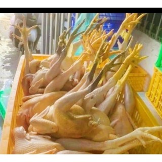 Gà ta nguyên con ,gà cân sống đặt mới làm thịt. Gà chân chì, tặng sả lá chanh