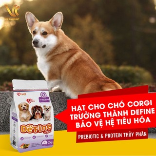 Thức ăn cho chó Corgi trưởng thành trên 12 tháng tuổi Define | VC Pet Shop