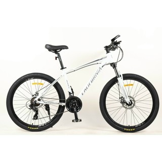 (HOT) XE ĐẠP CALIFORNIA 500cc 2024