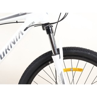 (HOT) XE ĐẠP CALIFORNIA 500cc 2024