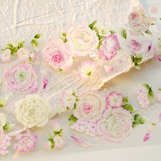 Pet tape hoa hồng Pink Rose chiết chu kì 100cm RHR | meohime