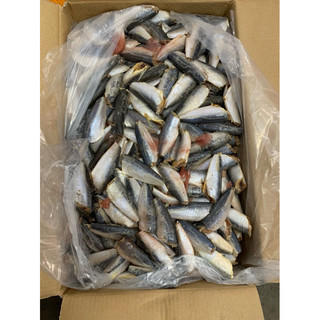 Cá nục mần sạch siêu ngon 1kg (giao tphcm)