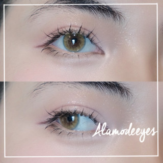 Lens nâu trong viền xanh mảnh