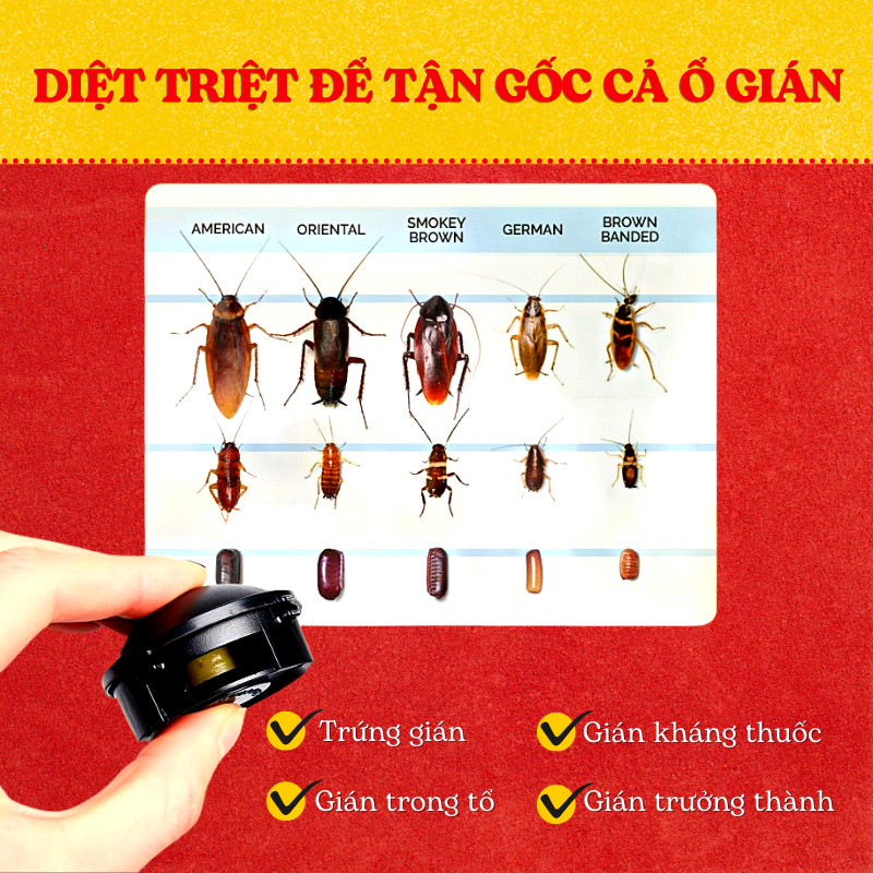 Thuốc Diệt Gián Nhật Bản Thuốc Diệt Gián 12 Viên Diệt Gián Tận Gốc