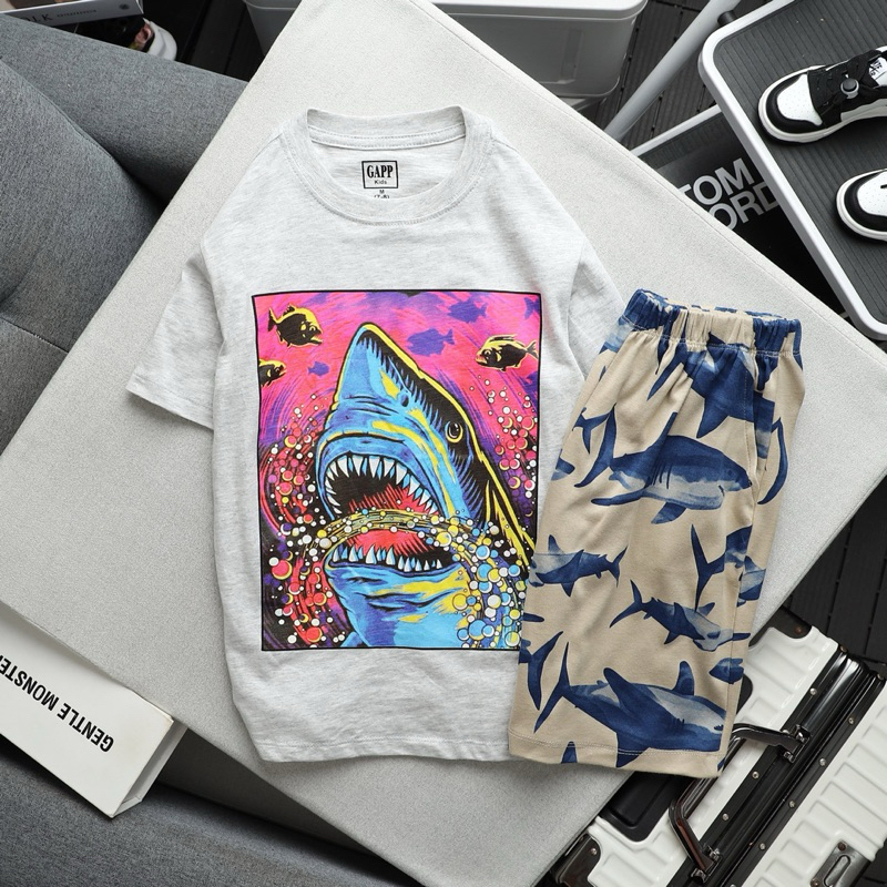 Bộ Thun Cotton Bé Trai Tay Ngắn VNXK