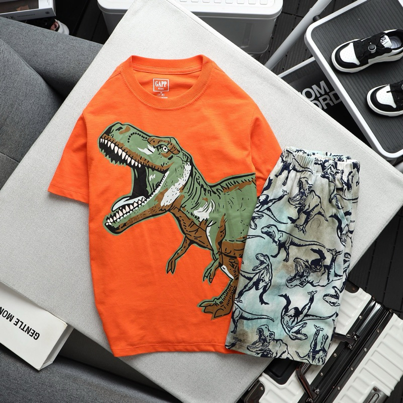 Bộ Thun Cotton Bé Trai Tay Ngắn VNXK