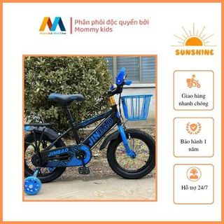 Xe đạp thể thao có giở xe và gác ba ga cho bé trai size 12,14,16