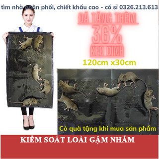 Tấm keo dính chuột khổ lớn 1m20cm x28cm bắt chuột, siêu dính, đa năng - sỉ đầu thùng 1xk