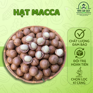 Hạt macca Daklak (Macadamia) nhà trồng ORGANIC cung cấp dinh dưỡng cho mọi đối tượng đặc biệt phù hợp với mẹ bầu - NSSDL