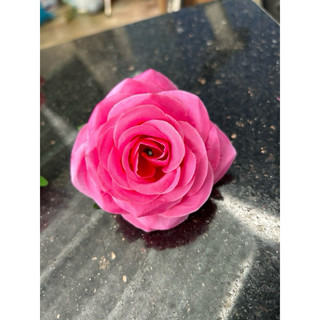 Bông hồng RuBy