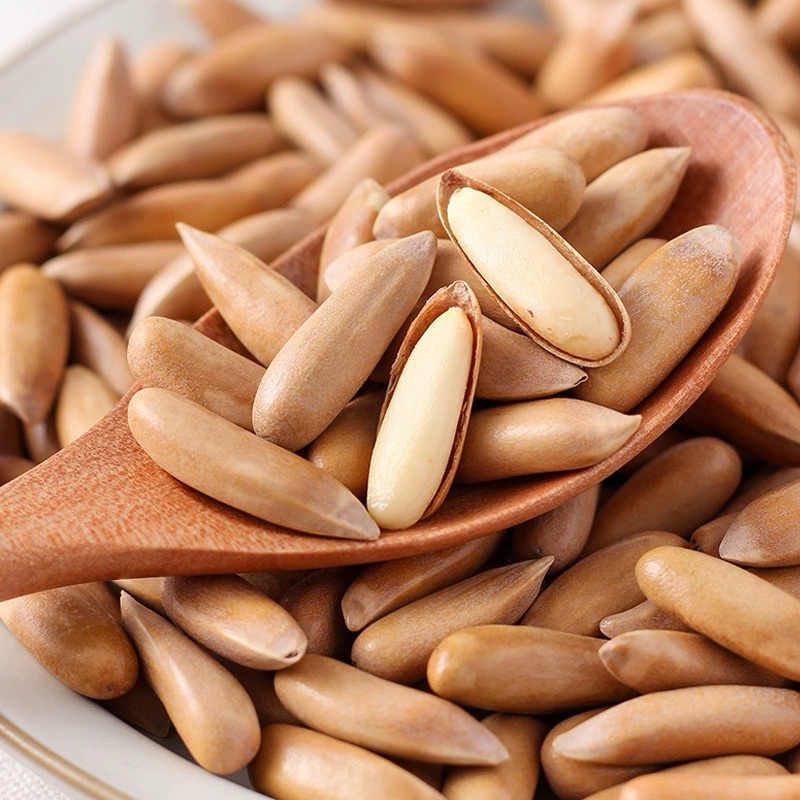 Hạt thông brazil - hạt dài size đại vỏ mỏng nhân đầy đặn hũ 100gram