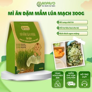 Mì Ăn Dặm Hữu Cơ Mầm Lúa Mạch Organic Cho Bé Từ 6 Tháng Anpaso - Mỳ Rau Củ Bổ Sung Chất Xơ Và Cải Thiện Táo Bón 300g