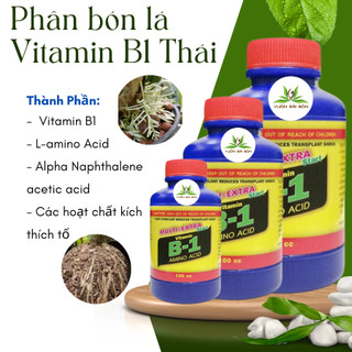 Phân bón lá Fuji Star Vitamin B-1 Thái 500ml giúp cây ra rễ mạnh, nảy nhiều chồi (Vườn Sài Gòn)