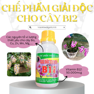 (Combo 2 chai) Chế phẩm giải độc Vitamin B12 chuyên dùng cho hoa, cây cảnh chai 100ml (Vườn Sài Gòn)