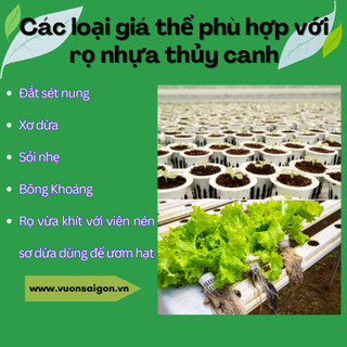 Combo 10 Rọ nhựa trắng trồng rau thủy canh (7cm) - Green City
