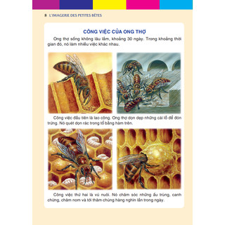Sách - Những con vật bé nhỏ (bìa cứng)