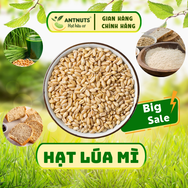 HẠT LÚA MỲ Đã Tách Vỏ Organic 1kg