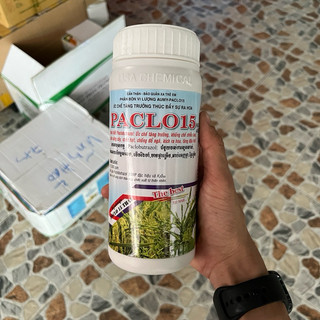 Paclo15 - paclo 15wp chai 500ml, phân bón vi lượng , ức chế tăng trưởng, thúc đẩy ra hoa