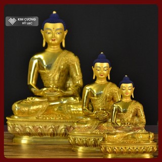 Tượng Phật A Di Đà Mật Tông [Mật Tông Việt Nam]