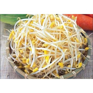 Giá đỗ tương Hàn Quốc -1kg.- Chỉ giao khu vực hà Nội