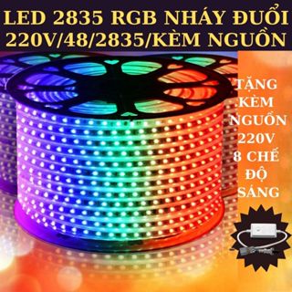 Dây Led Nháy Đuổi RGB CHIP 2835 220v trang trí decor  Tặng kèm nguồn điều khiển 8 chế độ