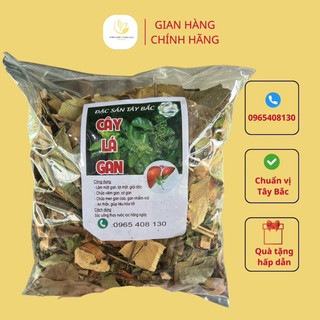 Thảo dược lá mát gan của người dân tây bắc