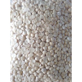 [Giá dùng thử]🌿Nhân hạt nữ hoàng Macca Tây Nguyên 🌿[FREESHIP]
